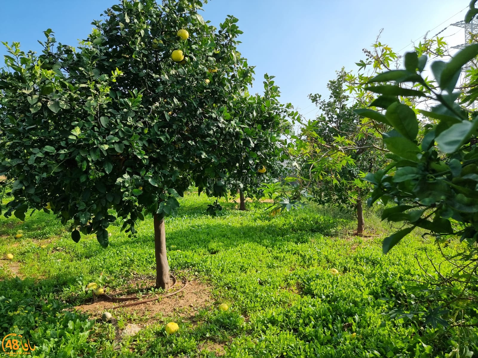 WhatsApp Image 2022-01-08 at 1.30.00 PM (1).jpg